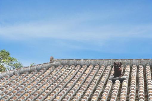 Blue sky, red roof tiles and Shisa, JPG