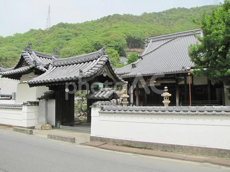 【風景写真】専福寺(広島県三原市)の風景 専福寺,浄土真宗,寺社仏閣の写真素材