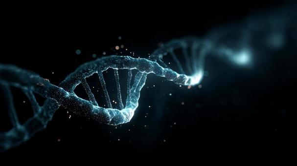遺伝子の神秘:デジタル表現されたDNA 遺伝子の神秘:デジタル表現されたDNAの写真