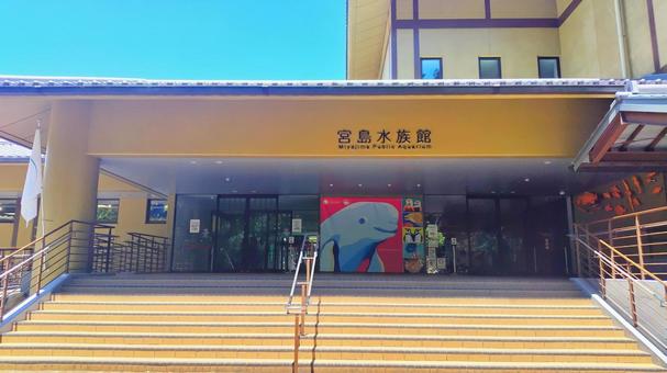 【広島県】宮島水族館 みやじマリン 【広島県】宮島水族館 みやじマリン 宮島水族館,みやじマリン,宮島の写真素材