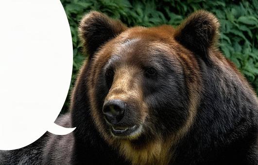 野生のクマと吹き出し AI生成 野生のクマと吹き出し AI生成の写真