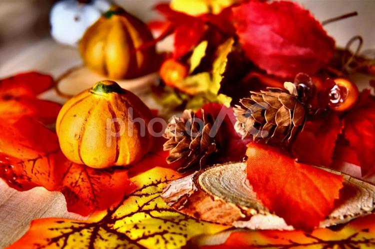 秋のイメージ素材 秋,ハロウィン,素材の写真素材