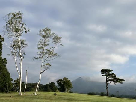 蒜山高原 蒜山高原 空,木,風景の写真素材