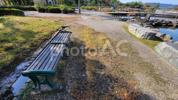 池沿いのベンチ 池,ベンチ,舗装路の写真素材