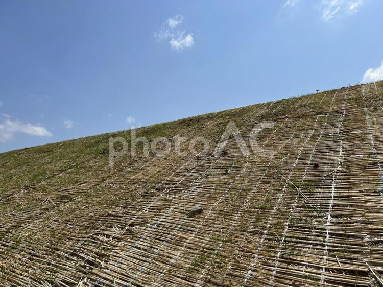 これから草が生えてきます 堤防,法面,のり面の写真素材