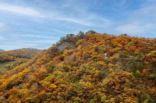 鳴子ダムの紅葉⑺ 秋,紅葉,山の写真素材
