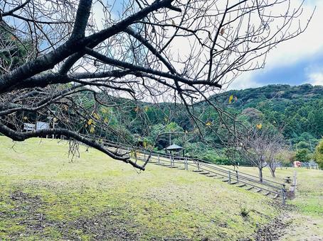 呉ダム　秋の公園の写真
