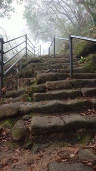 石段 石段の写真