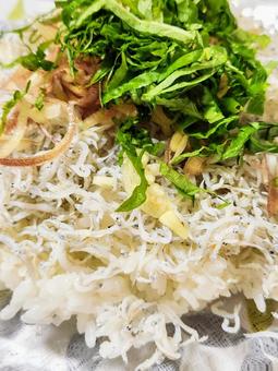 しらす丼(アップ) しらす丼(アップ) しらす丼,しらす,丼の写真素材