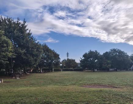 雨上がりの公園の写真