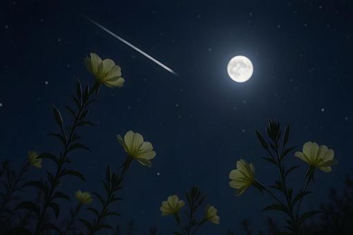 月夜の黄花と流星 月夜の黄花と流星の写真