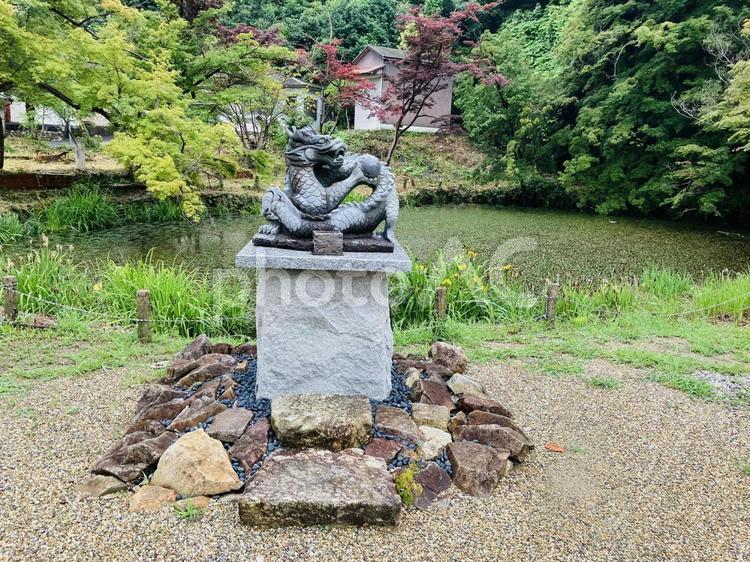 龍田大社　龍神像 龍田大社,奈良県生駒郡,二十二社の写真素材