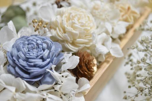 可愛らしいお花のBOX 可愛らしいお花のBOX お花,花,フラワーの写真素材
