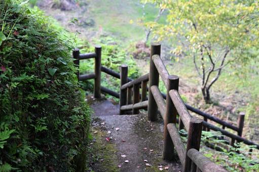階段 階段 階段,自然,山道の写真素材