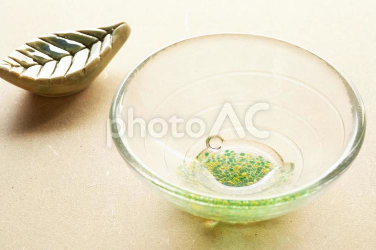 春・初夏の小皿　01 春,初夏,夏の写真素材