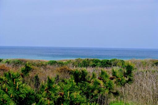 久美浜海岸 海,日本海,水の写真素材