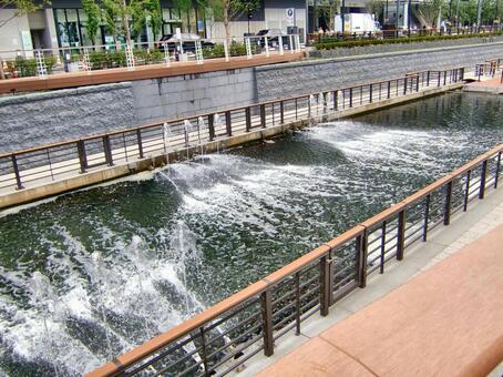 おしなり公園-10 おしなり公園,親水公園,北十間川の写真素材