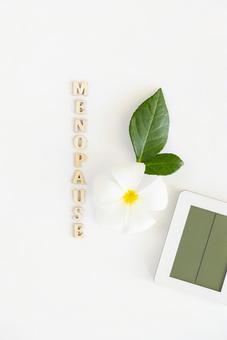 「MENOPAUSE」の文字と花と温度計 生理,月経,menopauseの写真素材