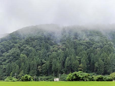 生まれる雨雲と田舎の風景2 生まれる雨雲と田舎の風景2 積乱雲,入道雲,生まれるの写真素材