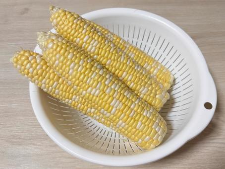 茹でる前のとうもろこし 茹でる前のとうもろこし 食べ物,食物,フードの写真素材