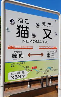 黒部渓谷鉄道トロッコ列車 猫又駅 黒部渓谷鉄道トロッコ列車 猫又駅 黒部,黒部渓谷,鉄道の写真素材