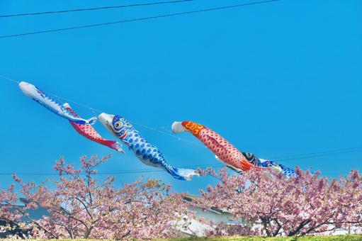Carp streamer Children's Day image, JPG Carp streamer Children's Day image, carp streamer, children's day, image, JPG