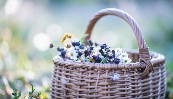 伝統工芸の白樺細工の花籠 伝統工芸の白樺細工の花籠の写真