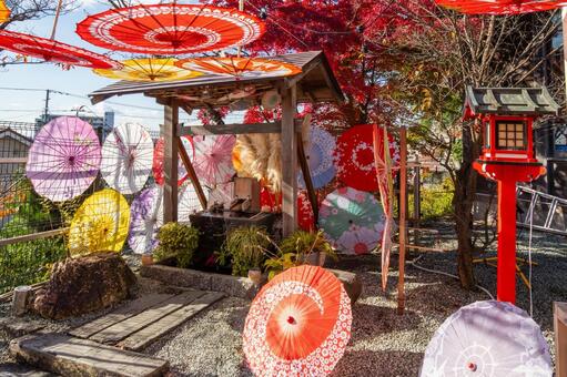 仙台八坂神社(30) 神社,仙台八坂神社,晩秋の写真素材
