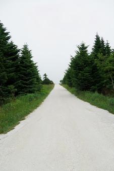 白い道 白い道 白い道,景勝地,お出かけの写真素材