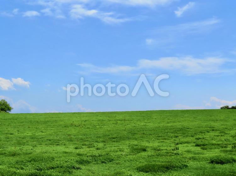 田舎の風景 自然,緑,グリーンの写真素材
