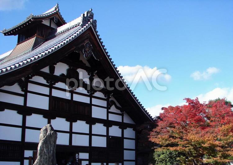 京都　嵐山　天龍寺の庫裏と紅葉 京都,天龍寺,嵐山の写真素材