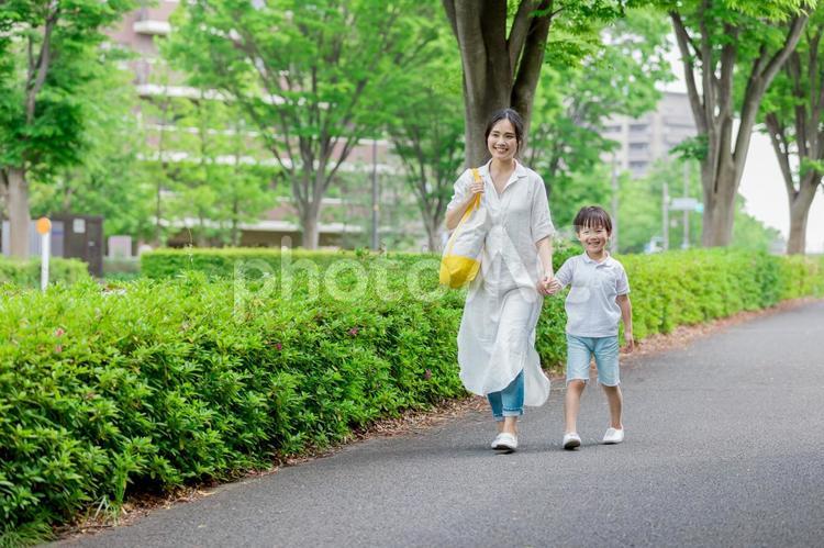 手を繋いで屋外を散歩する親子 人物,家族,女性の写真素材