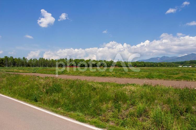 八ヶ岳高原の田舎の農村風景  八ヶ岳,林,高原の写真素材