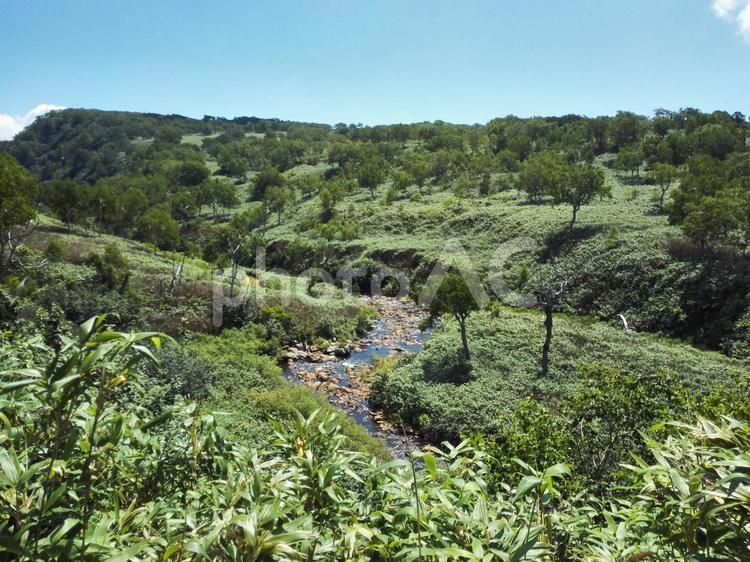 登山道からの眺め 風景,自然,何人もありませんの写真素材