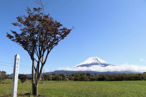 富士山 (8) 富士山 (8)