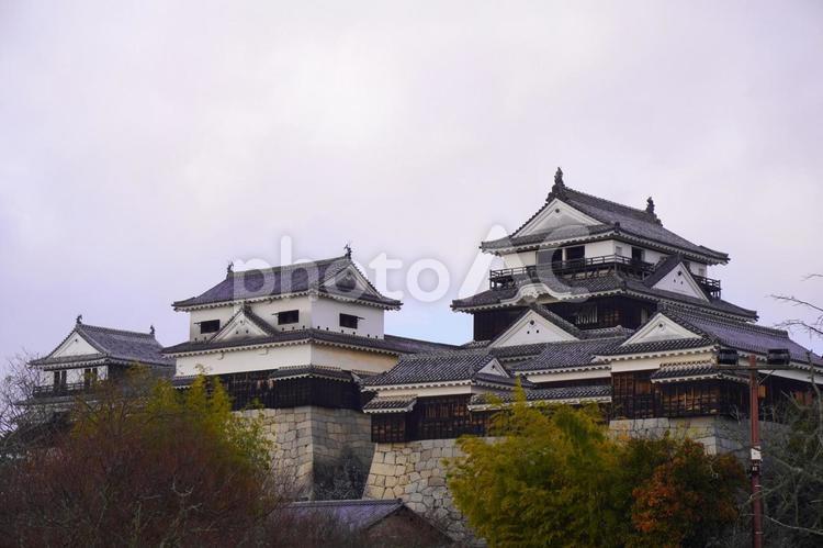 松山城（冬・曇り）② 松山城,城,お城の写真素材