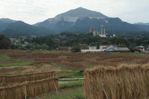 寺坂棚田 寺坂棚田 棚田,風景,曼殊沙華の写真素材
