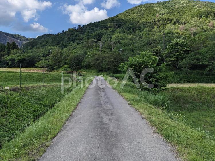 田舎の風景 自然,田舎,風景の写真素材