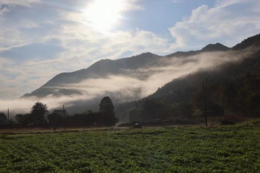 朝霧 秋,朝,空の写真素材