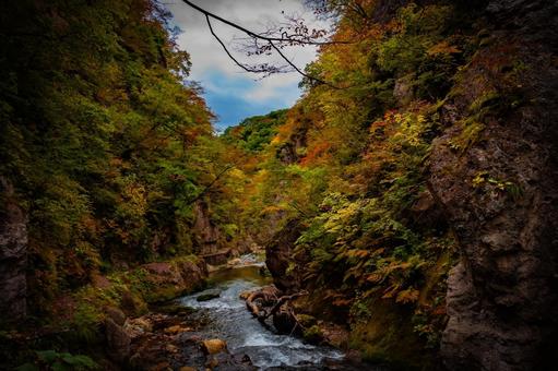 宮城県　鳴子峡の秋の風景 宮城,宮城県,大崎市の写真素材