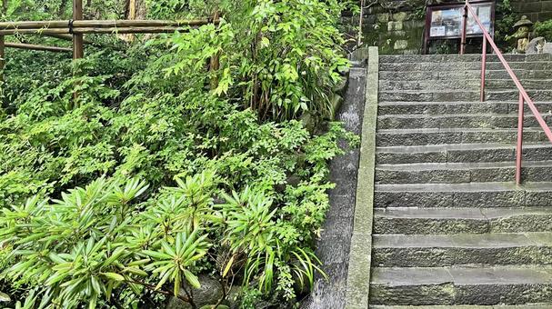 坂東33観音 04番 長谷寺 参道の石段 坂東33観音 04番 長谷寺 参道の石段 長谷寺,海光山,慈照院の写真素材