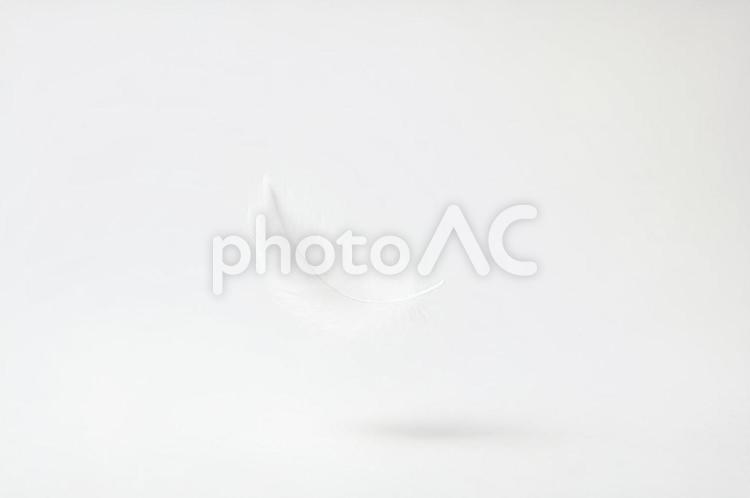 宙に舞う白い羽根・スピリチュアル・希望 白い羽根,スピリチュアル,希望の写真素材