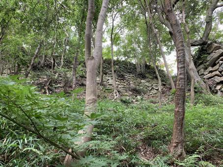 八幡山城1 八幡山城,城址,続日本100名城の写真素材