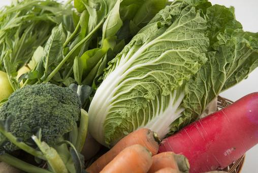 Freshly picked vegetables, JPG Freshly picked vegetables, JPG