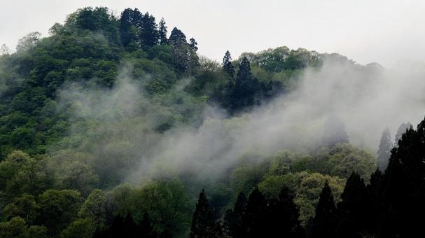 幻想的な朝霧の山並み 幻想的な朝霧の山並みの写真