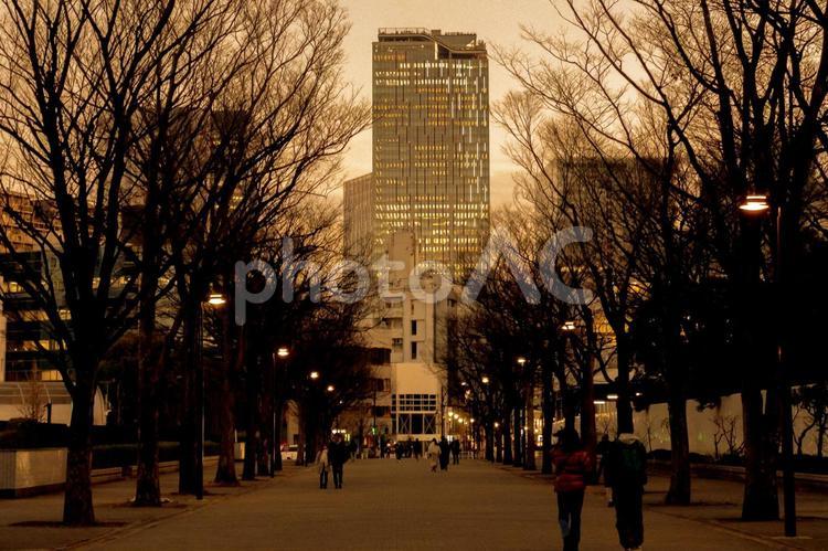 代々木公園から見るスクランブルスクエア 渋谷,代々木公園,夕景の写真素材