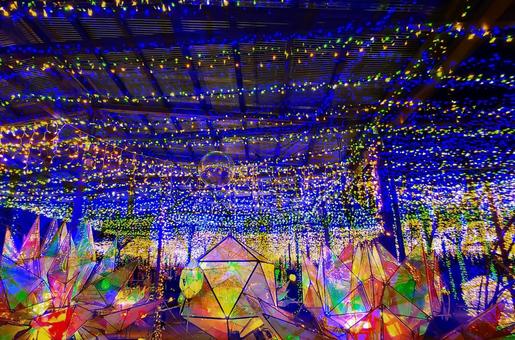 イルミネーション・エフェクト/由志園 イルミネーション,クリスマス,冬の写真素材