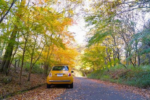 秋の山道にイタ車 秋,車,山道の写真素材