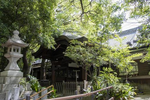 Photo, gokiso hachiman shrine, showa ward, nagoya city, a shrine, 