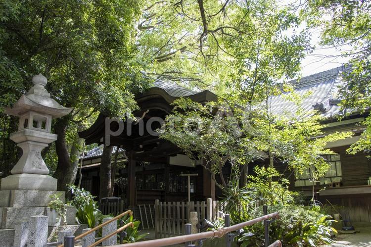御器所八幡宮 御器所八幡宮,名古屋市昭和区,神社の写真素材